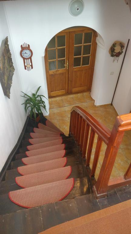 Pensiunea Liana Nemsa Ngoại thất bức ảnh