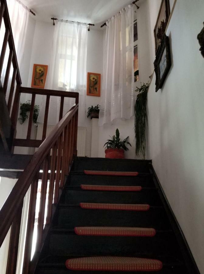 Pensiunea Liana Nemsa Ngoại thất bức ảnh